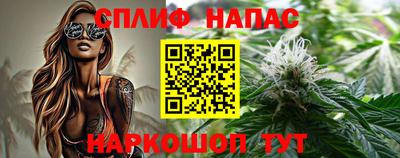 гашик Канаш