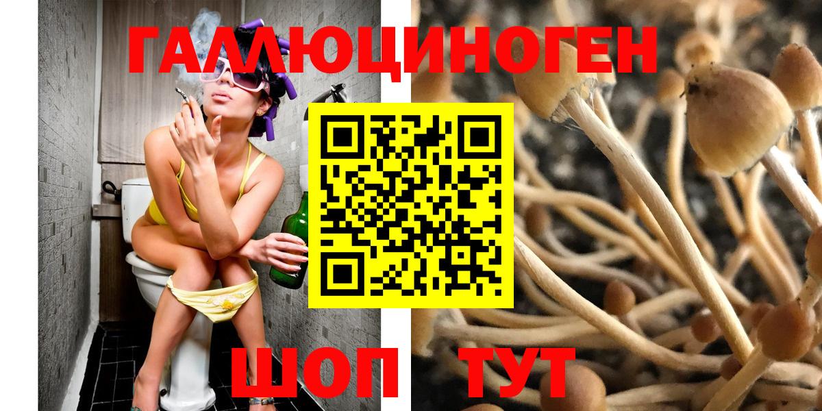Галлюциногенные грибы GOLDEN TEACHER Кубинка